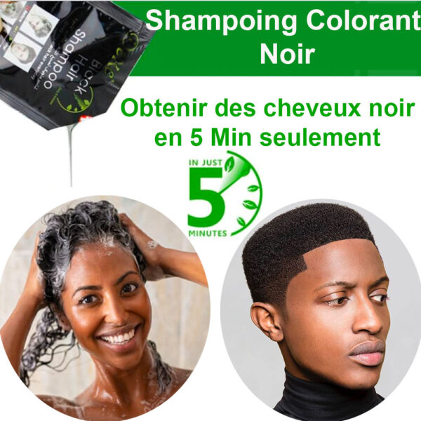 DEXE™ Shampooing Cheveux Noirs (10 sachets de 25ml) - Image 3